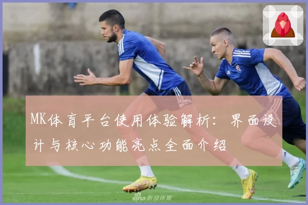 MK体育平台使用体验解析：界面设计与核心功能亮点全面介绍